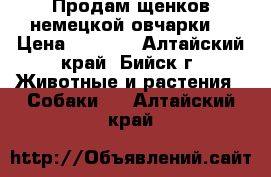 Продам щенков немецкой овчарки! › Цена ­ 6 000 - Алтайский край, Бийск г. Животные и растения » Собаки   . Алтайский край